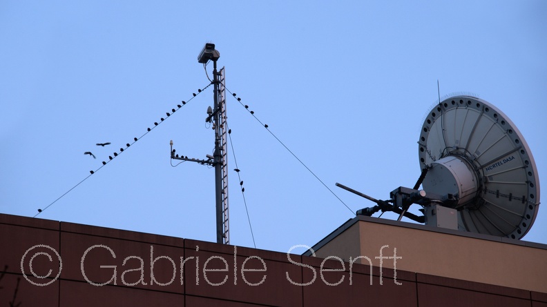 27.11.2014 ARD Antenne