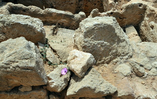Mai 2011 Zypern Winde im Felsgestein