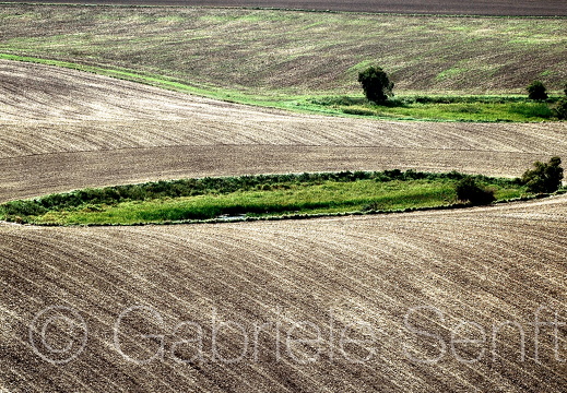 September 2007 Rügen 