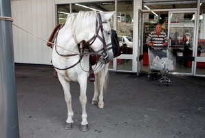 1996 Frankreich