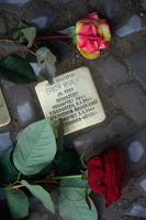2014-10-15 um 13-11-02 - Arbeitskopie 2