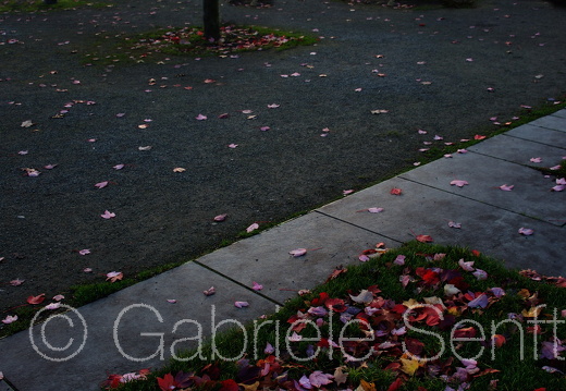 27.11.2014 Bundeskanzleramt