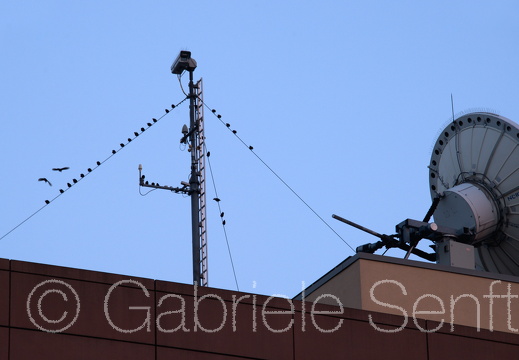 27.11.2014 ARD Antenne