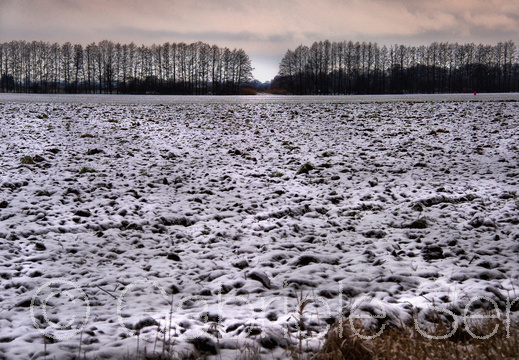 04.02.2015 – Landschaft bei kienitz