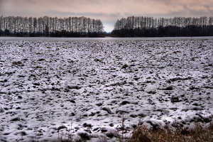 2015-02-04 um 14-41-10