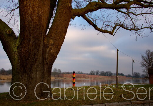 2015-02-06 am Ostufer der Oder in Küstrin -Kietz