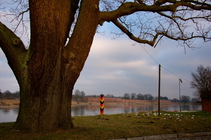 2015-02-06 am Ostufer der Oder in Küstrin -Kietz