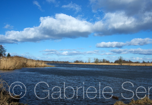 8. Februar 2015 –Oderlandschaft bei Lebus 