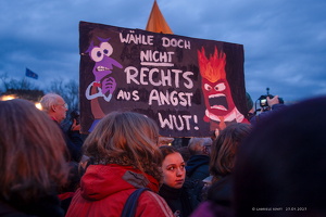 25.01.2025 Kundgebung am  Brandenburger Tor gegen AFD