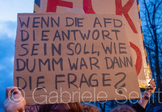 25.01.2025 Kundgebung am  Brandenburger Tor gegen AFD