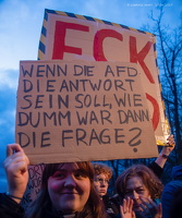 25.01.2025 Kundgebung am  Brandenburger Tor gegen AFD