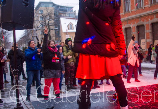 14.02.2025 One Billion Rising in Berlin Treptow Köpenick