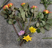 2009-05-09 um 16-57-59