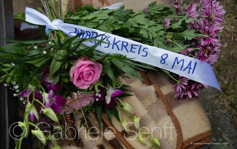 20200131-11-35-47-Bearbeitet-Bearbeitet.jpg
