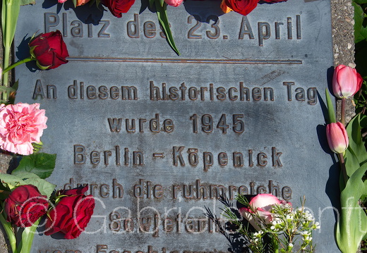 20200423-15-36-30-Bearbeitet-Bearbeitet-Bearbeitet-Bearbeitet