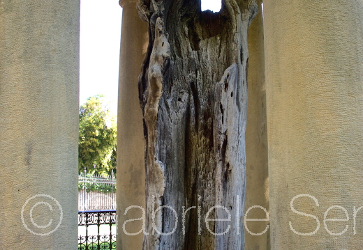 007b . 2017-04-24-10-47-46