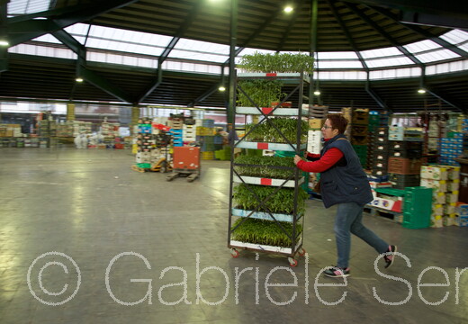 013. 2017-04-24-07-34-20