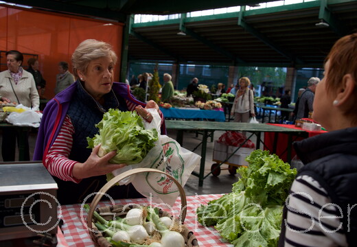 013.a 2017-04-24-09-58-54