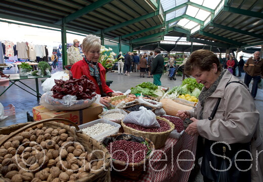 013.b 2017-04-24-10-03-20