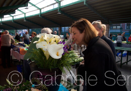 013.b.2017-04-24-10-00-26