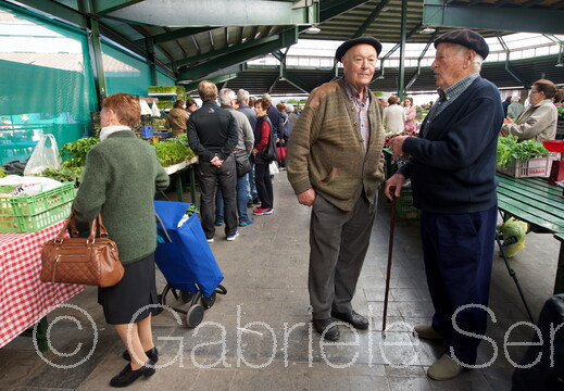 013.c 2017-04-24-10-04-50