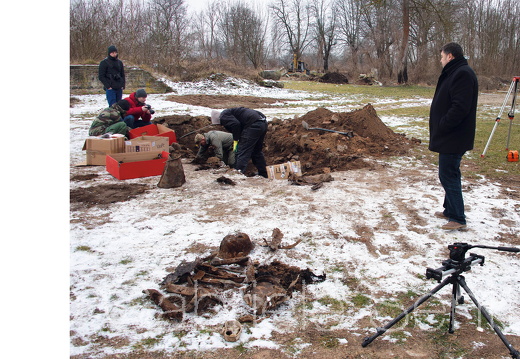 Februar 2015 im Areal der ehemaligen Festung Küstrin _Ausgrabungen und Bergung von Kriegstoten durch Spezialisten des polnischen Museums auf diesem Areal