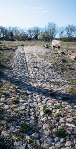 20200404-16-18-50 .jpg