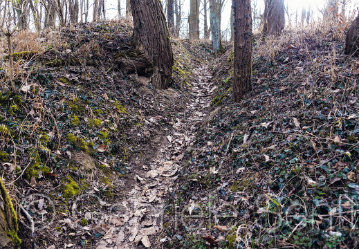 März 2015 Spuren von 1945 im Wald bei Reitwein