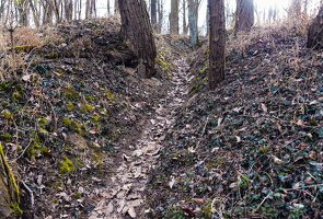 März 2015 Spuren von 1945 im Wald bei Reitwein