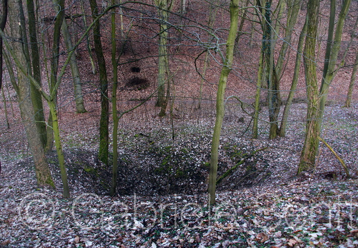 März 2015 Spuren von 1945 im Wald bei Reitwein