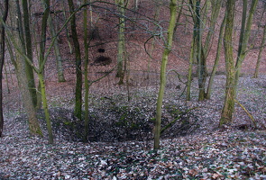 März 2015 Spuren von 1945 im Wald bei Reitwein