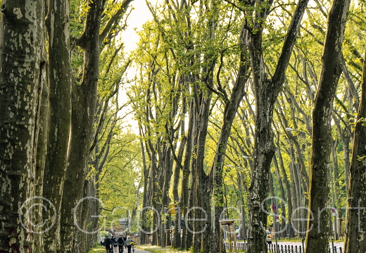 Mai 2012 Puschkinallee in Berlin Treptow