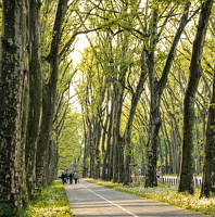 Mai 2012 Puschkinallee in Berlin Treptow