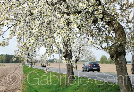 25.04.2015 auf dem Weg nach Torgau