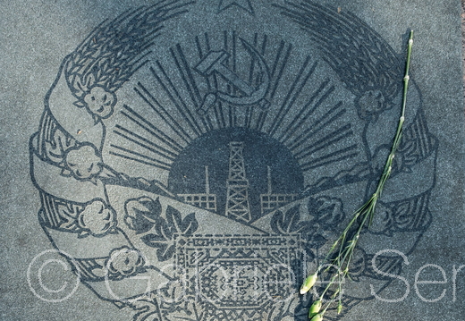 20200513-17-42-49-Bearbeitet-Bearbeitet 