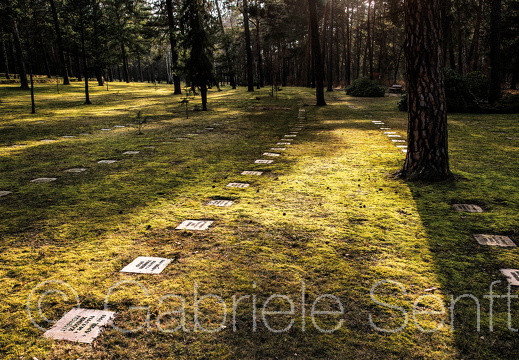 2020 Kriegsgräberstätte von Halbe