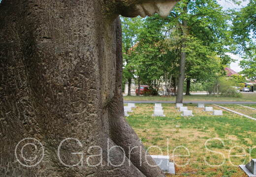 Mai 2020 sowjetischer Ehrenfriedhof Spremberg "Die Trauernde" 