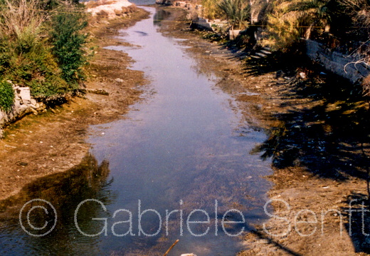 Basra 1 Kopie