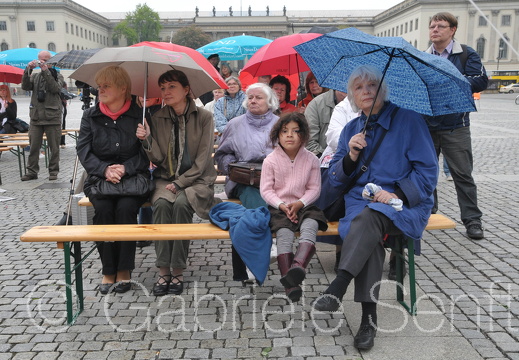 Jahrestag der Bücherverbrennung 088a