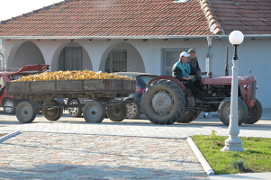 201011 Varvarin  (32)