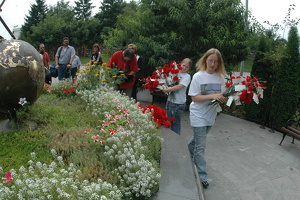 DSC 8576