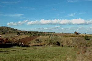 DSC 6866