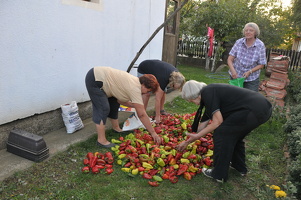 2011-09-25 um 17-55-51