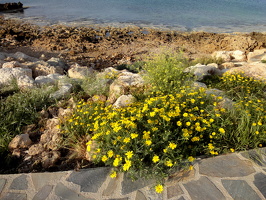 Mai 2011 Zypern