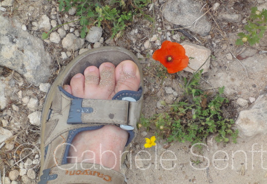 Mai 2011 unterwegs auf Zypern