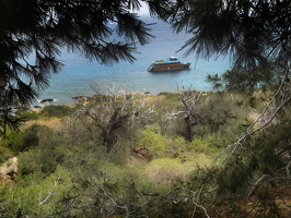201105Zypern Sony (82)b