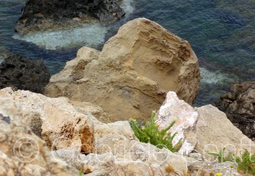 201105Zypern Sony (99)b