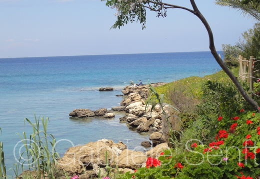 201105Zypern Sony (163)