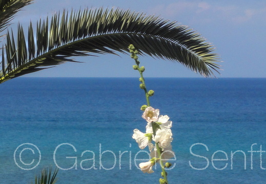 201105Zypern Sony (173)