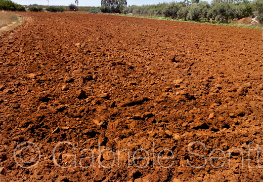 201105Zypern Sony (240)b